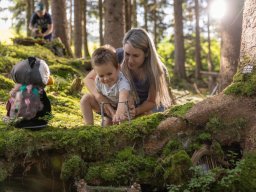 k1600_familiennester_2023-32